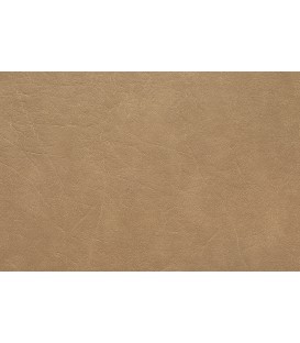 Skai Futura Saramo SA104 Starfish