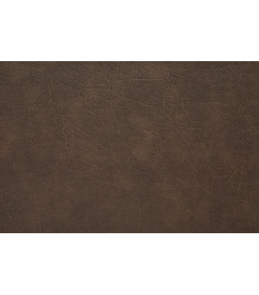 Skai Futura Saramo SA113 Bison