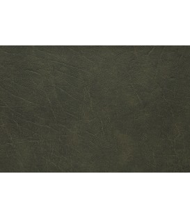 Skai Futura Saramo SA141 Forest