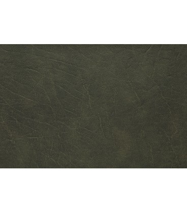 Skai Futura Saramo SA141 Forest