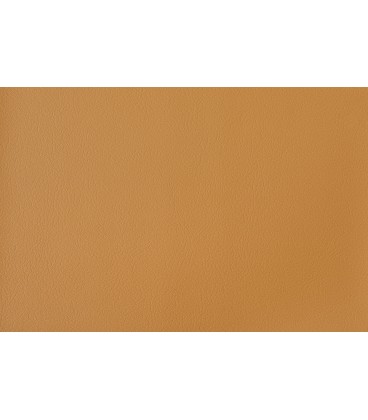 Skai Futura Agnona AG110 Buff