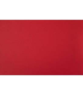 Skai Futura Paloma PA172 Fire