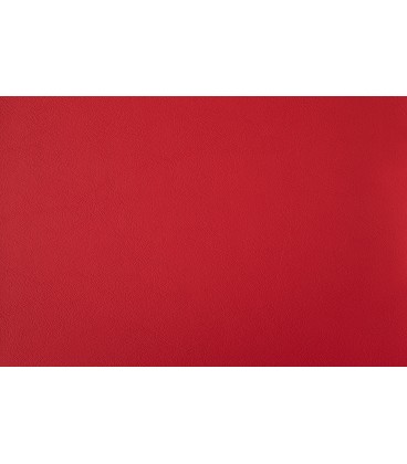 Skai Futura Paloma PA172 Fire