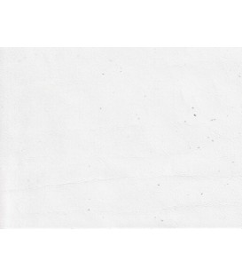 Skóra samochodowa AM Nappa S1460 glacier white