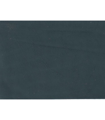 Skóra samochodowa AM Nappa S1462 eifel green