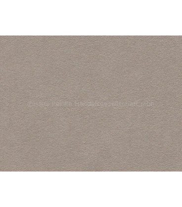 Alcantara Automotive Pannel 1112 (2920) Pergament