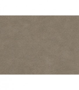 Alcantara Automotive Cover 2920 Pergament
