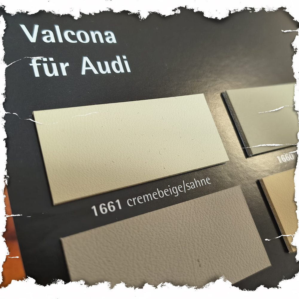 AUDI_valcona.png
