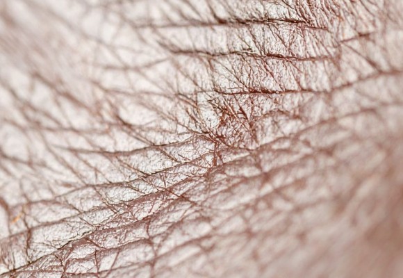 Przewodnik po skórze naturalnej i jej rodzajach